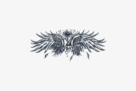 Drifting Wings
