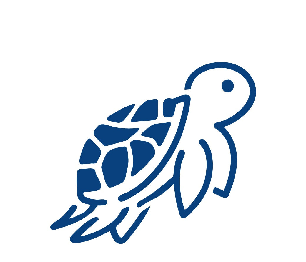 Baby Turtle