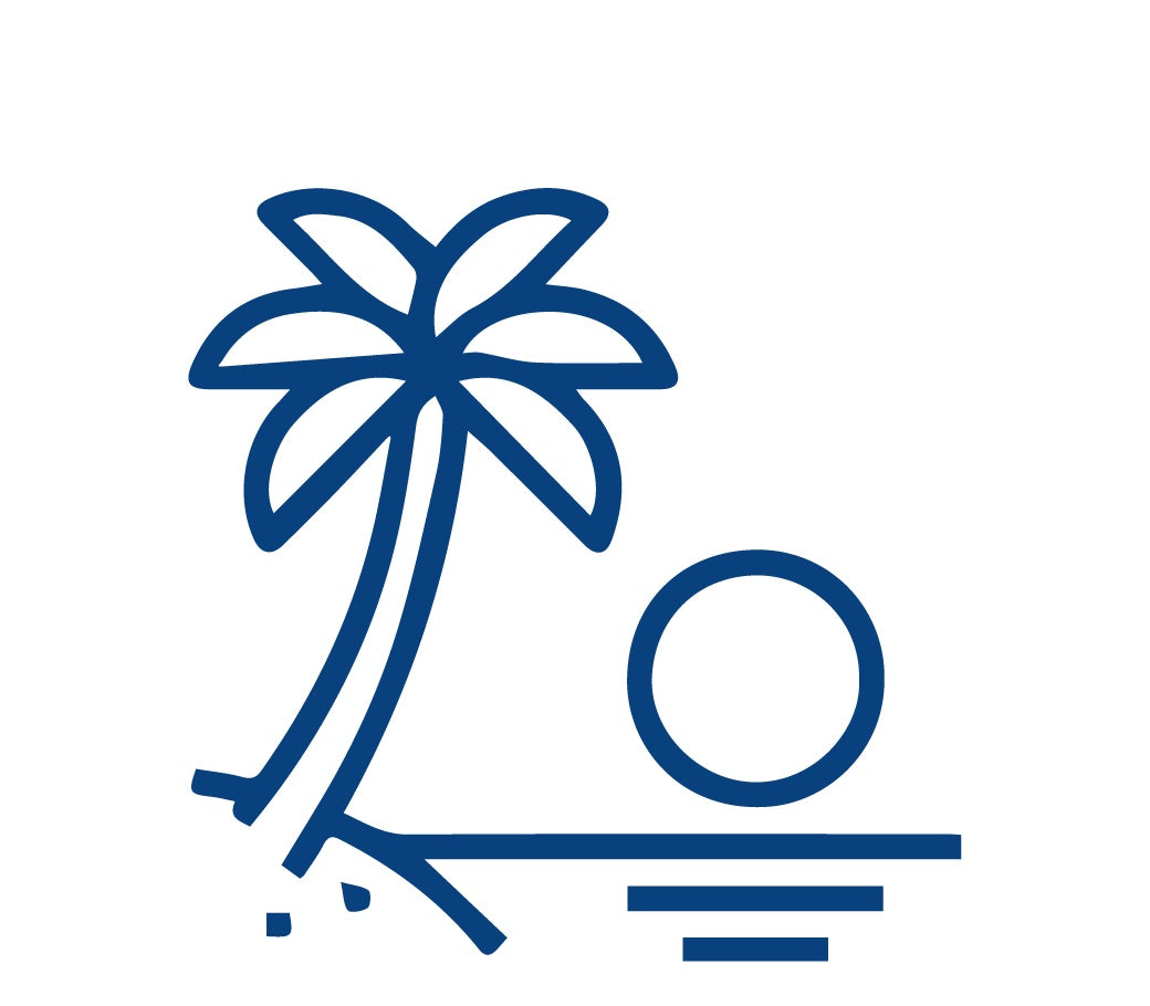 Palm Sunset